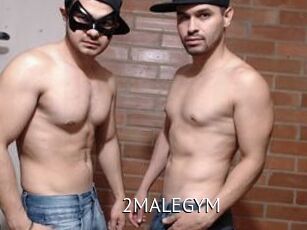 2MALEGYM