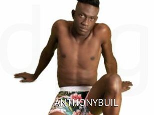 ANTHONYBUIL