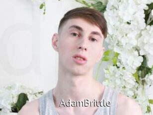 AdamBrittle