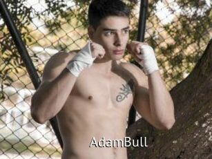 AdamBull