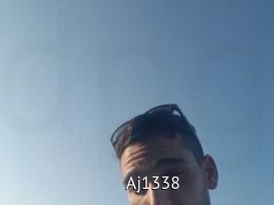 Aj1338