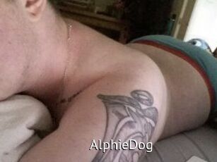 Alphie_Dog