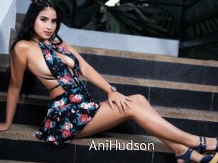 AniHudson