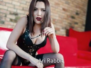 Ari_Rabbit