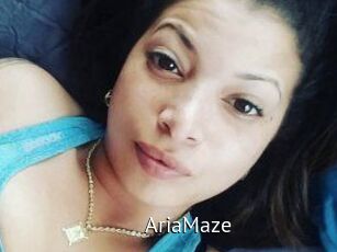 Aria_Maze