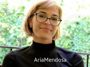 AriaMendosa