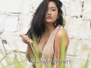 AriaMontgomery