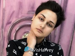 AvisHarvey