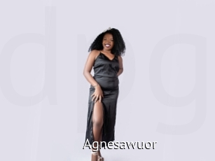 Agnesawuor