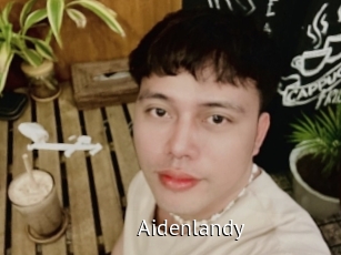 Aidenlandy
