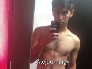 Alejburning