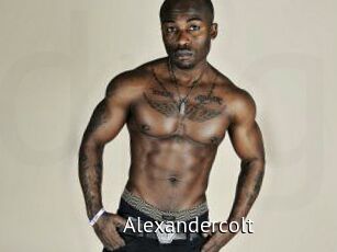 Alexandercolt