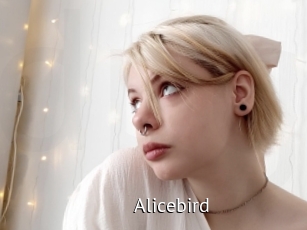 Alicebird