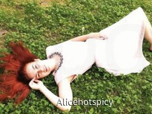 Alicehotspicy