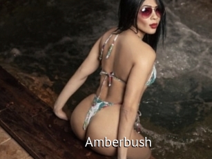 Amberbush