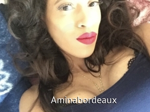 Aminabordeaux