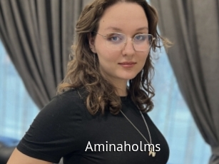Aminaholms