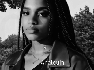 Analquin
