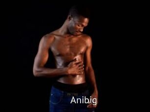 Anibig