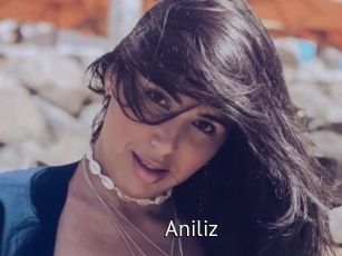 Aniliz