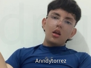 Anndytorrez