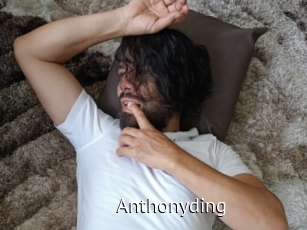 Anthonyding