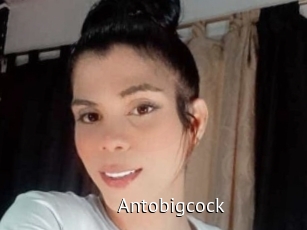 Antobigcock