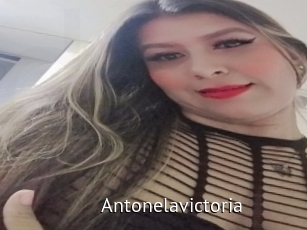 Antonelavictoria