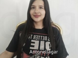 Antonellagar