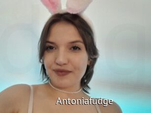 Antoniafudge