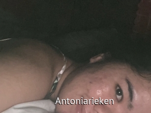 Antoniarieken