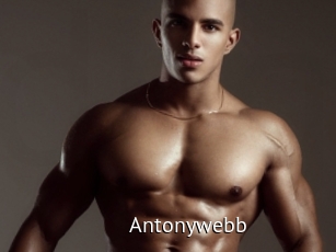 Antonywebb