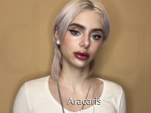Aracaris