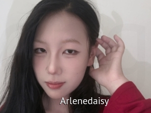 Arlenedaisy