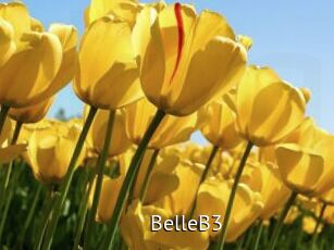 BelleB3
