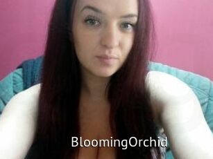 BloomingOrchid
