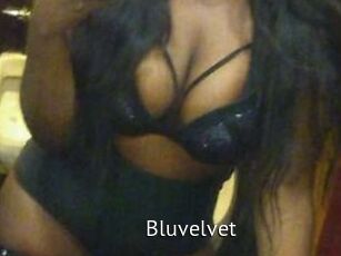 Bluvelvet