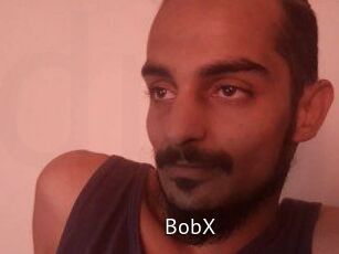BobX