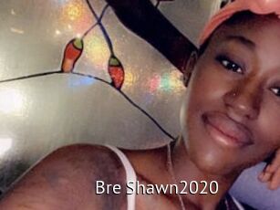 Bre_Shawn2020