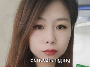 Bericezhangjing