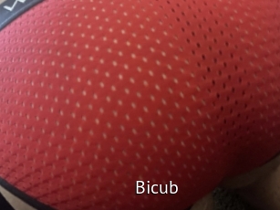 Bicub