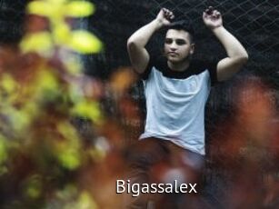Bigassalex
