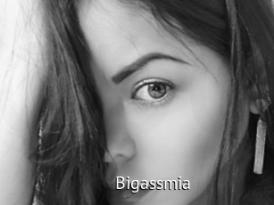 Bigassmia