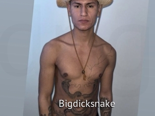 Bigdicksnake