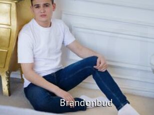 Brandonbud