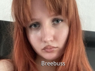 Breebuss