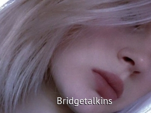 Bridgetalkins