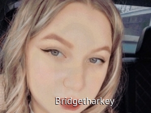 Bridgetharkey