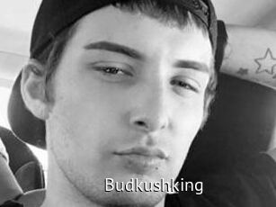 Budkushking