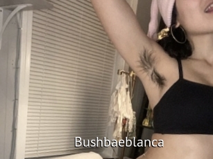 Bushbaeblanca